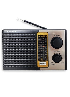 Buy Papaya Radio Rx-F10Ur Rechargable With 3 Band - Black/Silver in Egypt