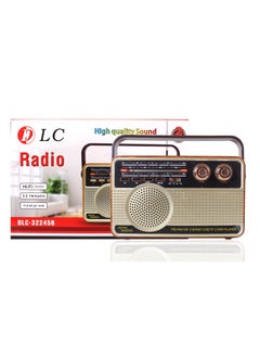 Buy Bluetooth portable radio DLC-32245B in Saudi Arabia