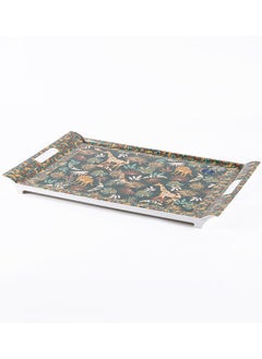 اشتري Namibia Tray, Multicolour - 49x34 cm في الامارات