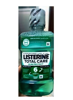 Buy Mouthwash Teeth And Gum Defence Milder Taste Soft Mint 250ml in Egypt