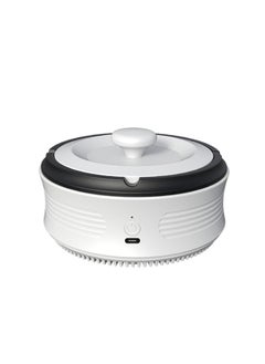 Buy Indoor Ashtray - 2-in-1 Multifunctional Ashless Air Purifier, USB Rechargeable Ashtray Electronic Ashtray,Air Purifier Electric Ashtray， Best for Family Car or Office (White) in Saudi Arabia