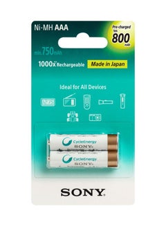 Buy 2 Pieces Rechargeable AAA Battery 800 mAh in UAE