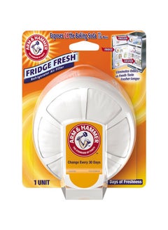 Buy Arm & Hammer Fridge Fresh Baking Soda in UAE