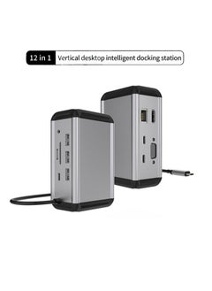 اشتري محول USB C Hub 12 في 1 Type C Hub متعدد المنافذ متوافق مع 100W Pd + 4K HDMI + USB3.0 * 3 + USB2.0 * 2 + SD + TF + 100W RJ45 + 1080P VGA + AUDIO3.5mm في السعودية