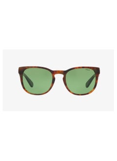 Buy Polo Ralph Lauren SUNGLASS PH4099 56742 SIZE 52 TORTOISE FRAME WITH  GREEN LENS UNISEX in UAE