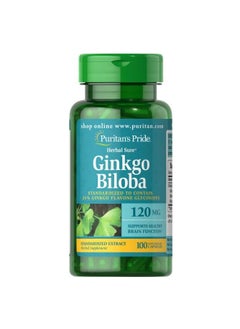 Buy Ginkgo Biloba Standardized Extract 120 Mg-100 Capsules in Egypt