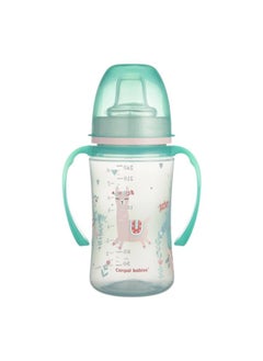 Buy Cup 240 ml /+6months in Egypt