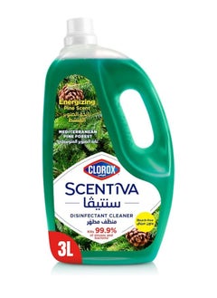 Buy Pine Scented  Multiporpuse Floor Cleaner in UAE