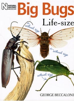 اشتري Big Bugs Life-Size في الامارات