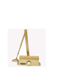 اشتري Robustline Door Closer 5 YEARS WARRANTY | 45-60 KG Capacity | Gold Color في الامارات