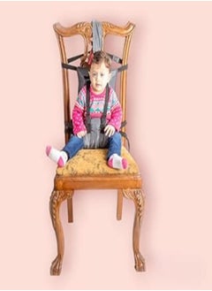 اشتري YoYo LAND Seat Chair Child | Table Seat Baby | Washable Fabric Belt | Chair | Adjustable Straps for Infant Food | Foldable and Portable | Universal Baby Dining Table Safety Belt for Travel | (Gray) في مصر