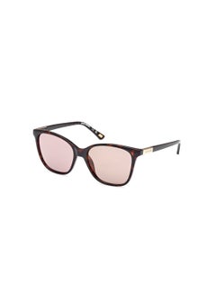 Buy Women's Square Shape  Sunglasses SE636152H56 Lens Size: 56 Millimeter - Dark Havana in Saudi Arabia