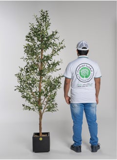 Buy Hight 2.20m , Big Artificial Olive Tree With Real Trunk And Silk Cloth Olive Leaves , Including a luxury Planter  Black Color in Saudi Arabia