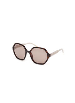 Buy Women's Sunglasses SE635852H57 Lens Size: 57 Millimeter - Dark Havana in UAE