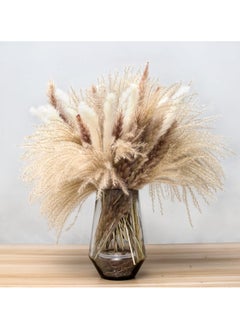 Buy Natural Dried Pampas Grass Bouquet Brown White Reed Pampas Floral Arrangements Decorations for Home Room Office Party Decor (60PCS) in Saudi Arabia