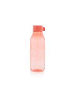 Buy Eco Bottle Square in Egypt