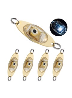 Buy Deep Drop Fishing Light LED Fishing Lures Kit Deep Drop Fishing Lights LED Fishing Spoons Underwater Flasher Diamond Lights Let Flashing Fishing Light in UAE