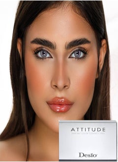 Buy Desio Lenses Attitude Rebel Grey in Egypt