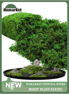 Buy Natural Green Moss for Crafts, Preserved Artificial Moss Potted Plants, Decorative Moss for Table Centerpieces Wedding Fairy Party Decor, Faux Moss for Indoor Planters, DIY Project (300g) in UAE