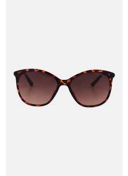 اشتري Men KC2840 Oval Sunglasses, Black/Dark Brown في الامارات