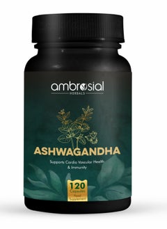 Buy High Strength Ashwagandha Root Powder Herbal Supplement With Immunity Support Non-Gmo And Gluten Free, 500 Mg- 120 Capsules in UAE