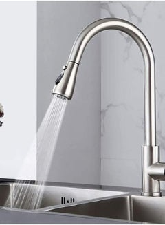 Buy Puri Pro Water Saving Kitchen Stainless Steel Pull Out Tap Faucet, Kitchen Sink Hot And Cold Water Faucet, Two-Way Sprayer in UAE