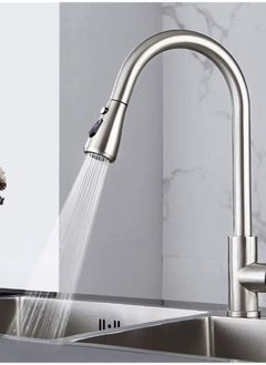 اشتري Puri Pro Water Saving Kitchen Stainless Steel Pull Out Tap Faucet, Kitchen Sink Hot And Cold Water Faucet, Two-Way Sprayer في الامارات