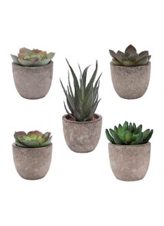 Buy 5PCS Small Artificial Succulent Plants Potted Assorted Faux Succulents Fake Cactus Cacti Plants Mini Succulent Plants for Window Sills Bathrooms Office Home in UAE