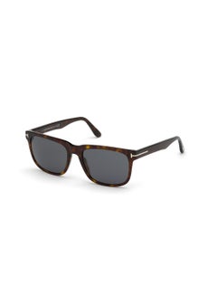 Buy Men's UV Protection Square Sunglasses - FT077552A56 - Lens Size: 56 Mm in UAE