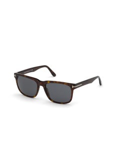 اشتري Men's UV Protection Square Sunglasses - FT077552A56 - Lens Size: 56 Mm في الامارات