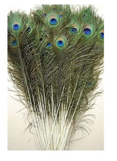 Buy Natural Peacock Feathers – 10 to 12-Inch Eyed Peacock Tail Feathers – DIY Craft Decoration for Weddings, Costumes – Set of 30 Peacock Feathers in UAE