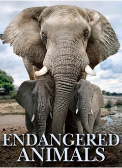 Buy Endangered Animals in UAE