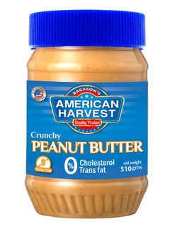 Buy Crunchy Peanut Butter 510grams in UAE