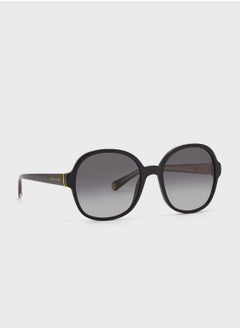 Buy Th 1812/S Sunglasses in UAE