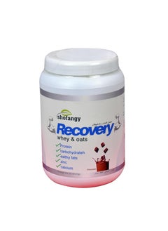 Buy RECOVERY - Whey & Oats Chocolate 800 g in Egypt