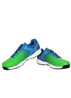 اشتري Men's Field-1 Mesh Cricket Shoes - 7 UK في الامارات