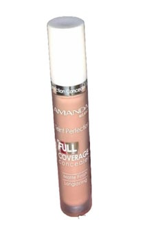 Buy Teint Perfection Full Coverage Concealer 02 in Egypt