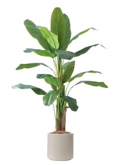 اشتري Artificial Tree 180CM Banana Plant for Outdoor,18 Leaves 70.8in Fake Banana Tree for Home Decor,Green,Natural في الامارات