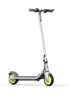 Buy Ninebot Segway KickScooter No.9 Electric Scooter C10 Chinese Version Box 8 14 years old foldable two wheeler scooter moped balance scooter electric, Gray, C10 Scooter in UAE