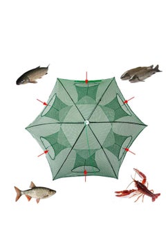 Buy Fully Automatic Fishing Net 8 Holes 80cm Foldable Lobster Cage Green in Egypt