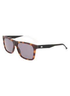 Buy Unisex Square Sunglasses - L972S_230 - Lens size: 57 mm in UAE