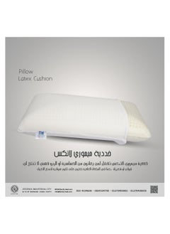 Buy Latex Cushions size 45 x 70 cm from Family Bed in Egypt