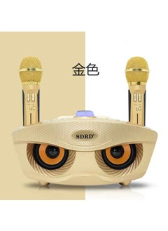 Buy SD306 family KTV audio karaoke mobile phone TV song training machine integrated dual microphone owl speaker Gold in UAE