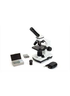 اشتري – Celestron Labs – Monocular Head Compound Microscope – 40-800x Magnification – Adjustable Mechanical Stage – Includes 2 Eyepieces and 10 Prepared Slides في الامارات