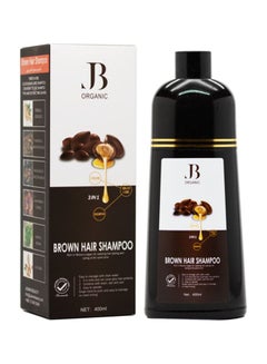 Buy Brown Hair Shampoo 400ml in Saudi Arabia