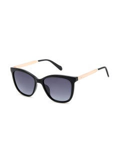 اشتري Women's UV Protection Cat Eye Sunglasses - Fos 3142/S Black 54 - Lens Size: 54 Mm في الامارات