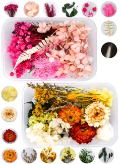 Dried Flowers for Resin 2 Box Mixed Multiple Assorted Real Flowers