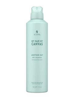 Buy Alterna My Hair My Canvas Another Day Dry Shampoo in UAE
