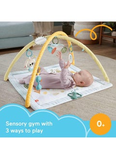 Buy Simply Senses Newborn Gym Baby Activity Mat in UAE