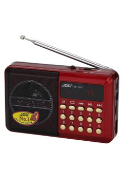 Buy Digital Portable Radio Supports Flash & Memory Card and Digital Selects Music Player , FM Radio in Egypt